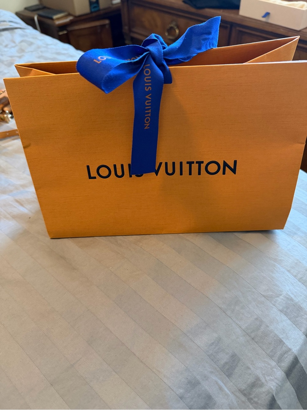 Louis Vuitton shopping bag